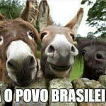 CRIA VERGONHA NA CARA, BRASIL!